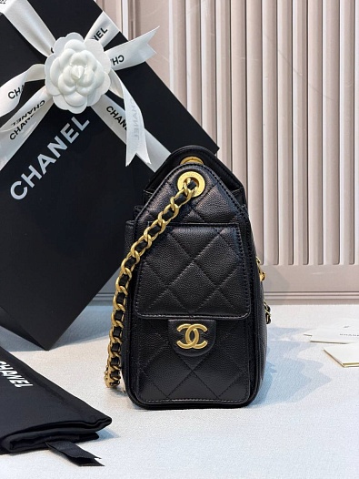Кожаная сумка Chanel 25 Mini premium 20x22x12.5 см   