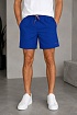 Мужские шорты Tommy Hilfiger синего цвета