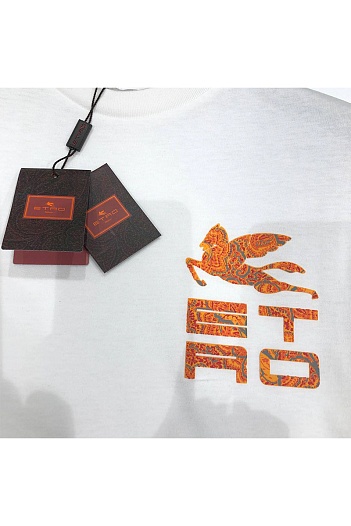 Мужская чёрная футболка Etro Pegasus logo   
