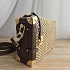 Кожаная сумка Louis Vuitton Side Trunk MM 22x16 см
