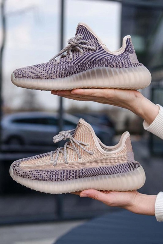 Кроссовки Adidas Yeezy Boost 350 V2 "Ash Pearl" Premium