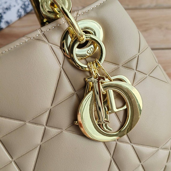 Женская сумка Christian Dior Lady D-Sire 25x18 см (6 расцветок)