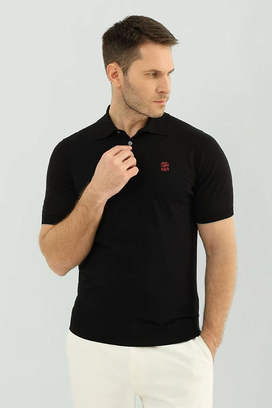 Мужское чёрное поло Brunello Cucinelli premium