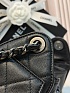 Кожаная сумка Chanel 25 Mini premium 20x22x12.5 см