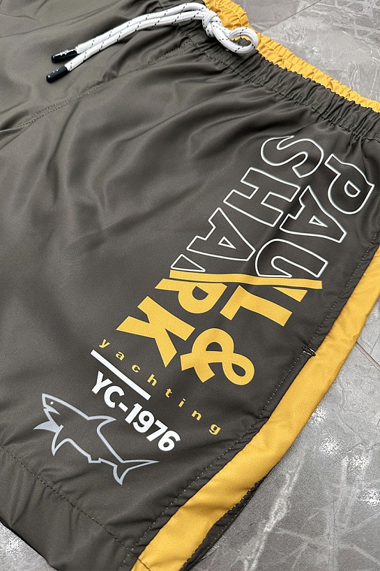 Мужские зелёные шорты Paul & Shark logo-patch