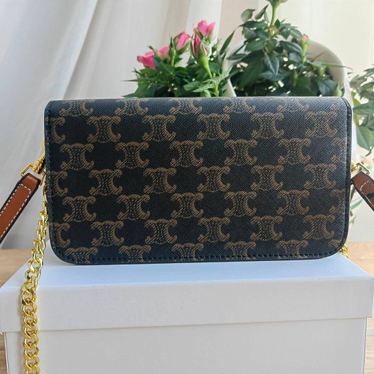 Женская сумка Celine Triumphe 21x11 см   