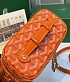 Кожаная сумка Goyard Muse Mini Vanity ​premium 16,5x10,5x8 см