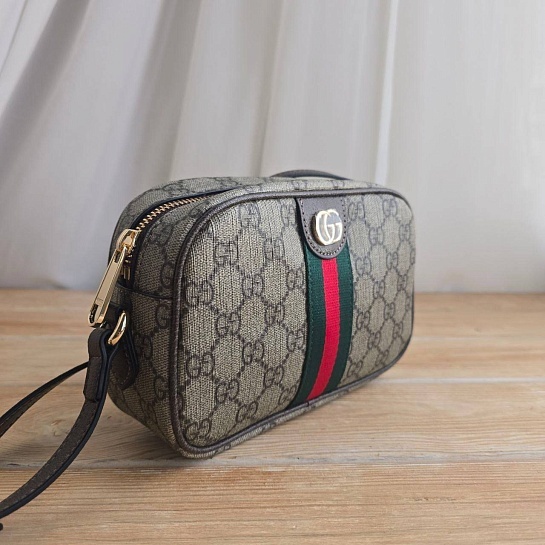Сумка Gucci GG Ophidia 20x14 см