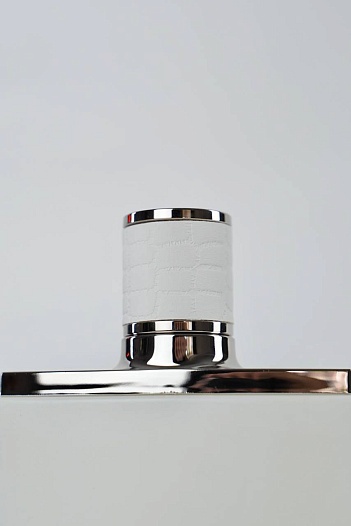 Парфюмерная вода Jimmy Choo Man Ice (100 мл)   