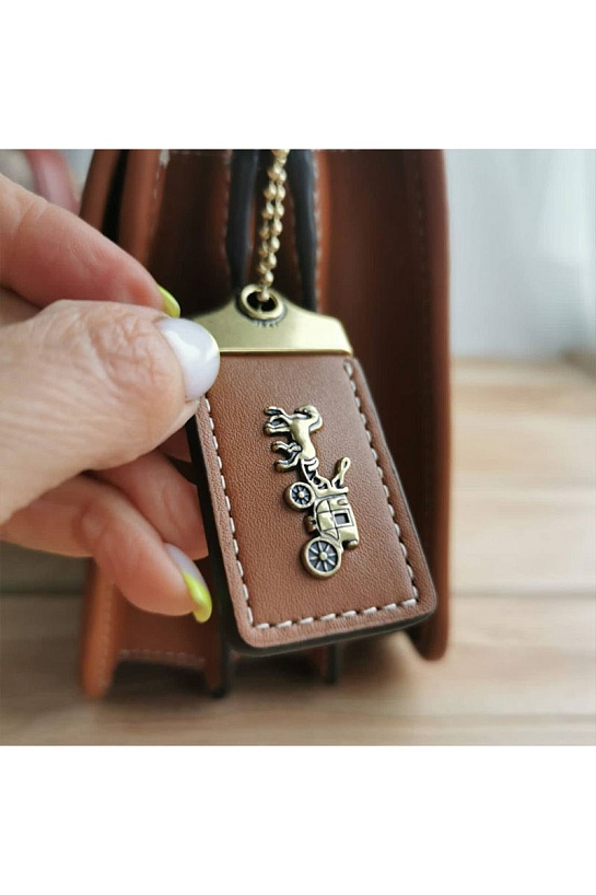 Женская сумка Coach Riley monogram crossbody 22x17 см (2 расцветки)