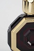Парфюмерная вода Stefano Ricci Royal Eagle Red (100 мл)