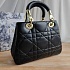 Кожаная сумка Dior Lady 25x18 см