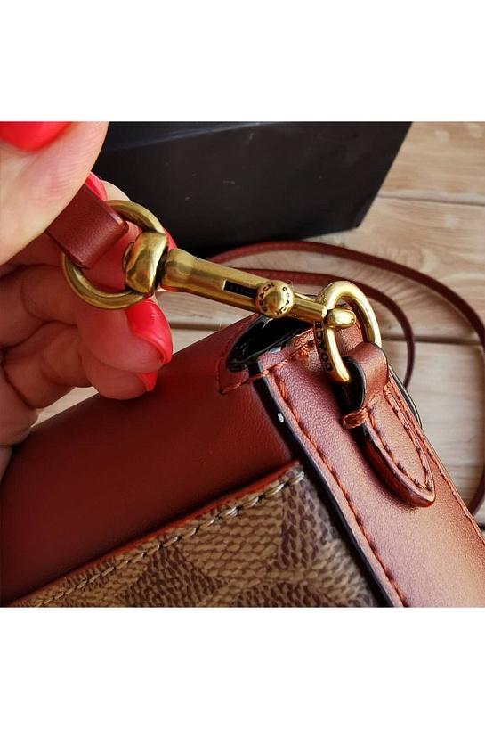 Женская сумка Coach Wyn Clutch In Colorblock 22x13 см