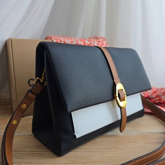 Кожаная сумка Coccinelle Dorian Tricolor 24x16 см