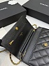 Кожаная сумка Chanel Wallet on Chain premium 19x12x4 см