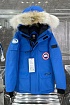 Мужская синяя парка Canada Goose PBI Expedition