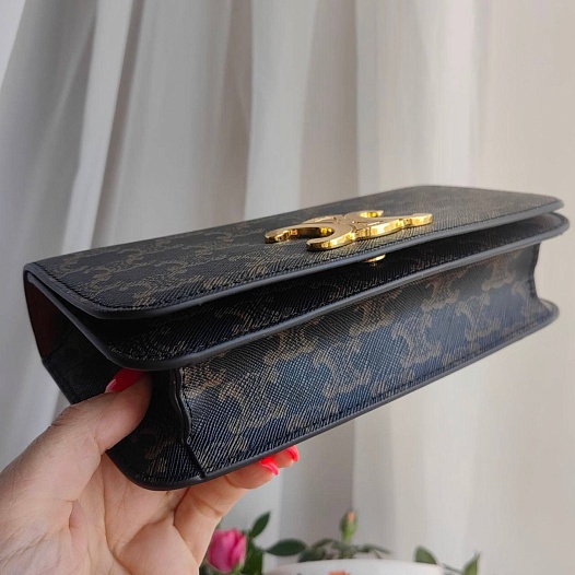 Женская сумка Celine Triumphe 21x11 см   