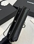 Кожаная сумка Chanel Wallet on Chain premium 19x12x4 см
