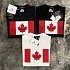 Футболка чёрного цвета Dsquared2 Flag of Canada