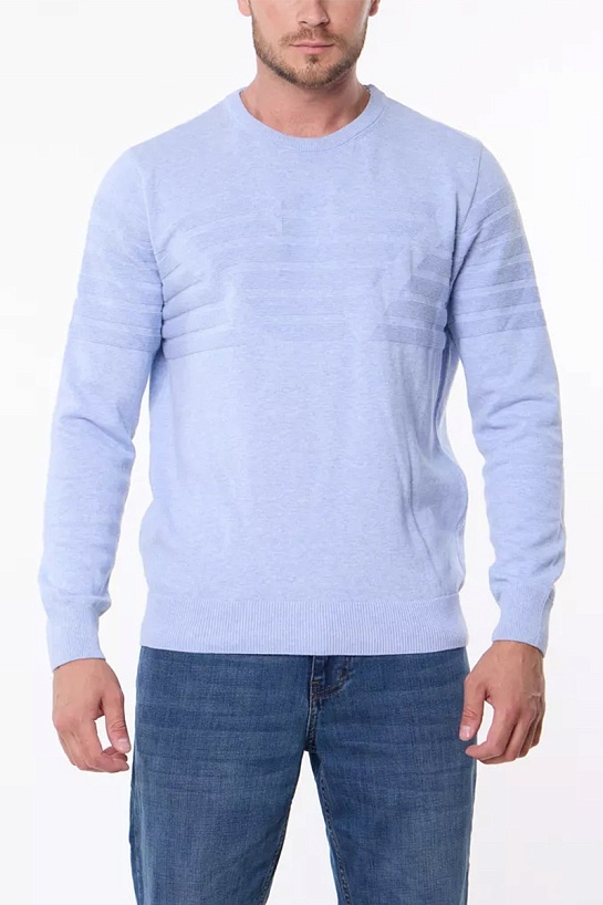 Мужской голубой джемпер Emporio Armani