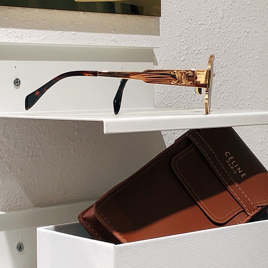 Солнцезащитные очки Celine Triomphe Metal