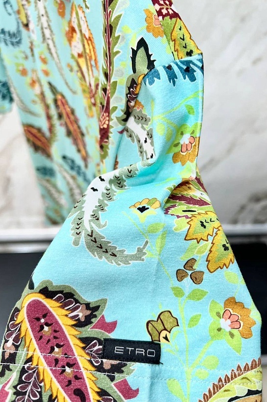 Голубая футболка Etro paisley-print