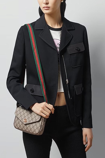 Сумка Gucci GG Ophidia pochette premium 22x13x4 см   