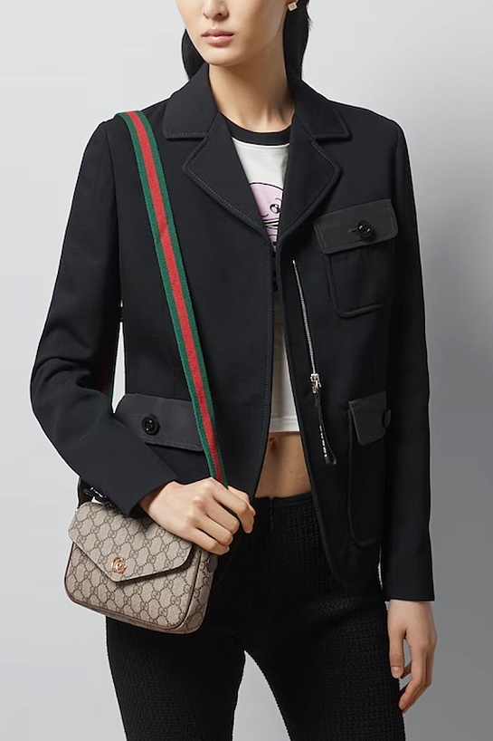 Сумка Gucci GG Ophidia pochette premium 22x13x4 см