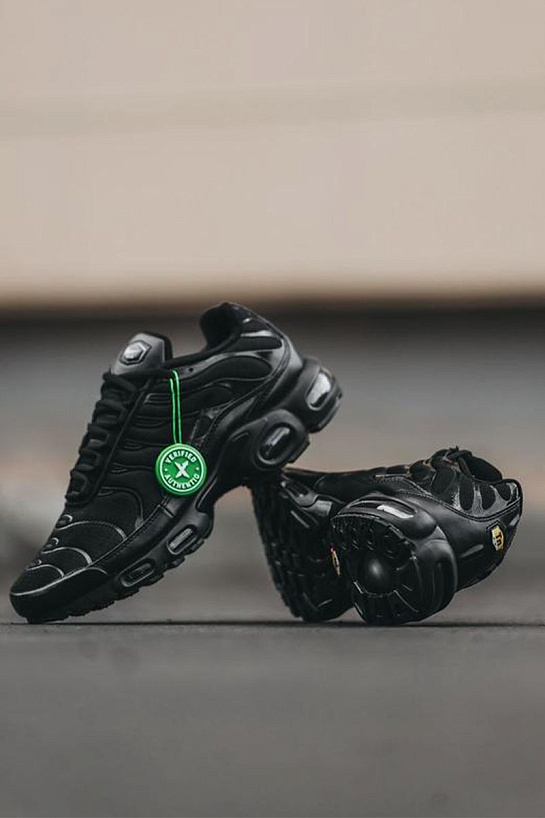 Кроссовки Nike Air Max Plus "Triple Black"