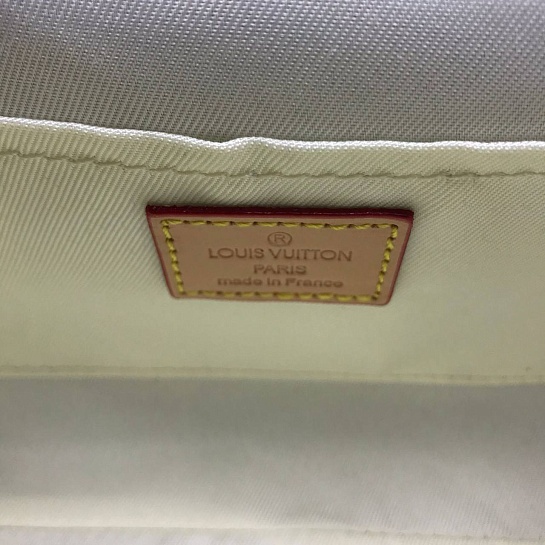 Кожаная сумка Louis Vuitton Cluny Mini Monogram 20x15x5 см