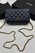 Кожаная сумка Chanel Wallet on Chain premium 19x12x4 см