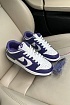 Кроссовки Nike Dunk Low Championship Court Purple