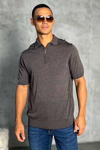 Мужское поло Stefano Ricci Eagle zip-neck - Brown   