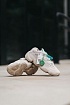 Кроссовки Adidas Yeezy 500 "Blush"