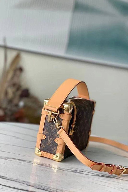 Женская сумка Louis Vuitton Side Trunk MM 23x16 см