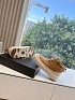 Женские ботинки с мехом UGG Neumel Weather Hybrid - Beige