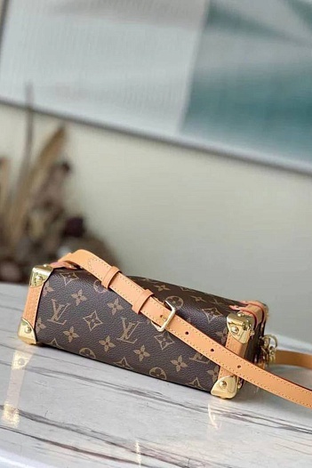 Женская сумка Louis Vuitton Side Trunk MM 23x16 см   