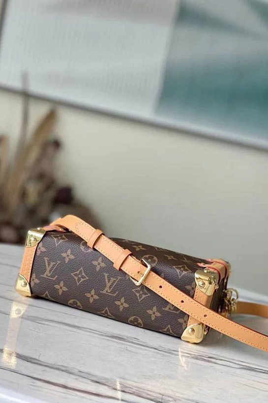 Женская сумка Louis Vuitton Side Trunk MM 23x16 см