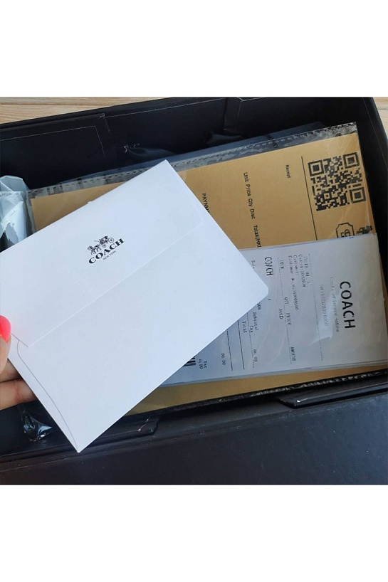 Женская сумка Coach Wyn Clutch In Colorblock 22x13 см