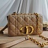 Женская сумка Dior Caro 21x13 см (2 расцветки)