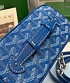 Кожаная сумка Goyard Muse Mini Vanity ​premium 16,5x10,5x8 см