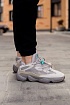 Кроссовки Adidas Yeezy Boost 500 "Ash Grey"