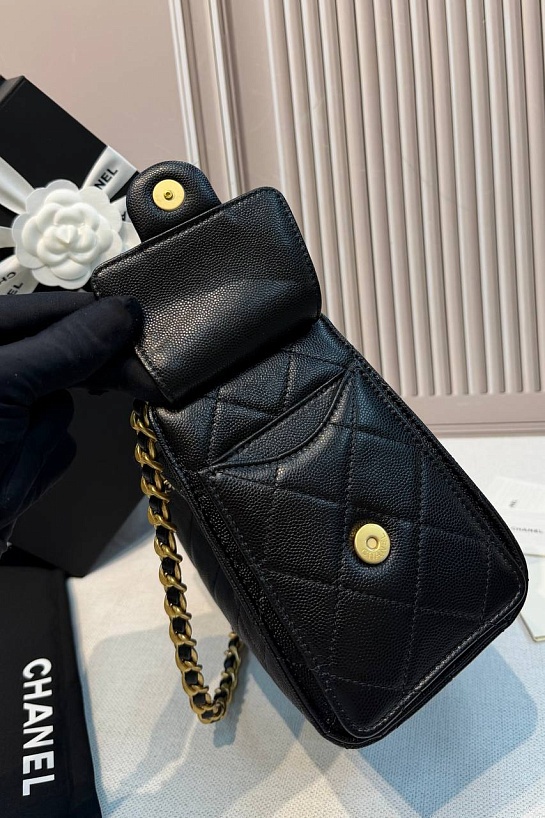 Кожаная сумка Chanel 25 Mini premium 20x22x12.5 см