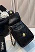 Кожаная сумка Chanel 25 Mini premium 20x22x12.5 см