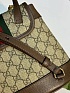 Рюкзак Gucci Ophidia Premium 20.5x20x12 см - Brown