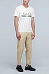 Футболка белого цвета Gucci Web-stripe