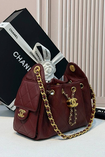 Кожаная сумка Chanel 25 Mini premium 20x22x12.5 см   