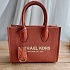 Кожаная сумка Michael Kors Mae Medium 24x19 см (5 расцветок)