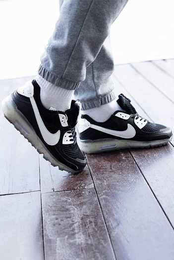 Кроссовки Nike Air Max Terrascape 90    
