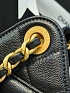 Кожаная сумка Chanel 25 Mini premium 20x22x12.5 см
